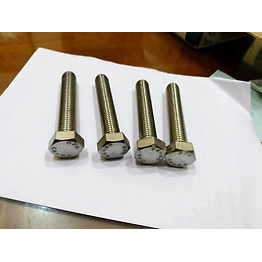 Stainless Steel Bolts