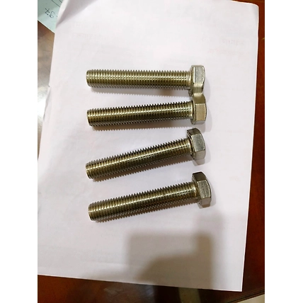 Stainless Steel Bolts-1