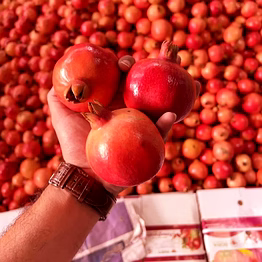 pomegranate