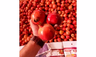 Pomegranate