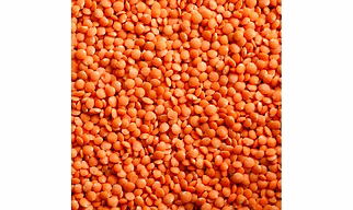 Red Lentils