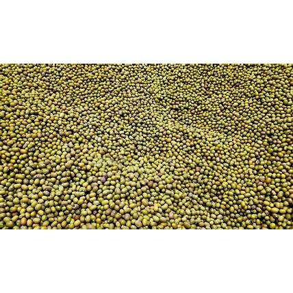 Moong Dal-12619144