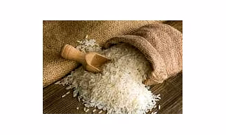 Rice