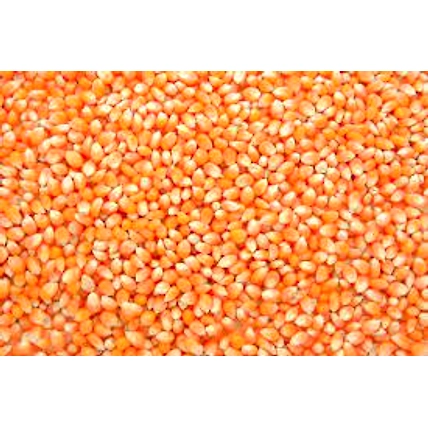 Maize-3