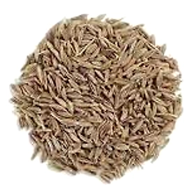 Cumin seeds