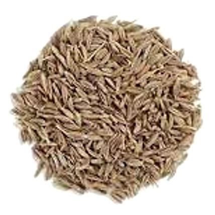 Cumin seeds-12624356