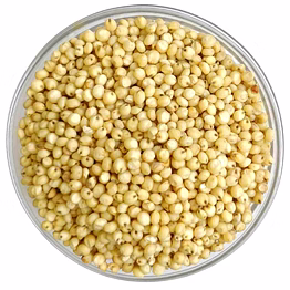 sorghum/jawar