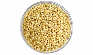 Sorghum/Jawar