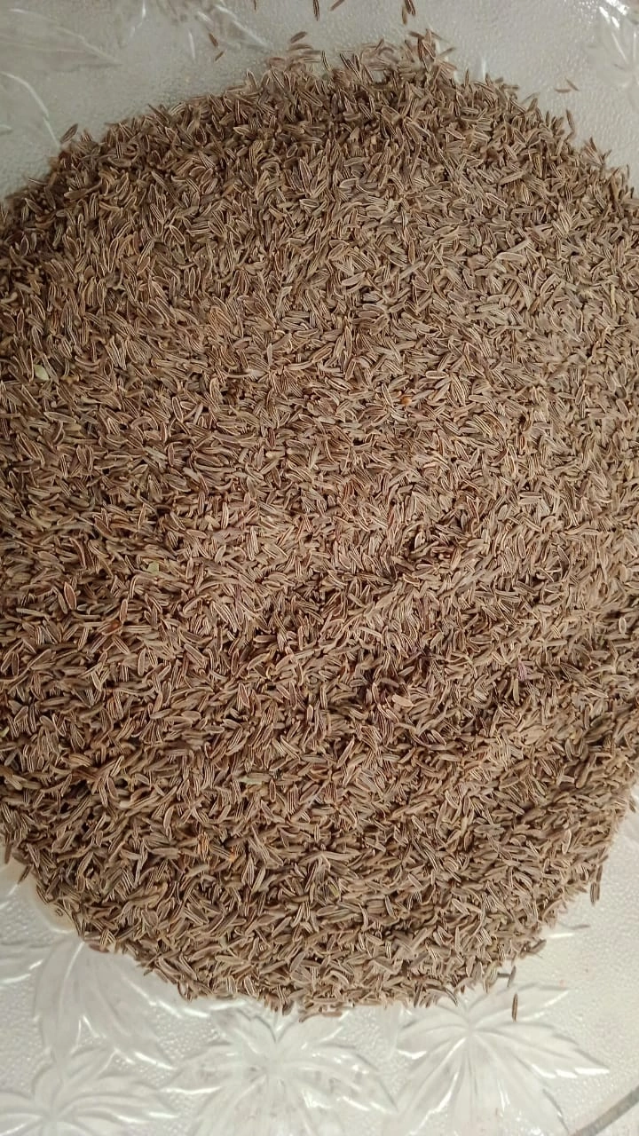 Royal Cumin Seeds-1002945-b289255c