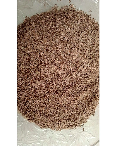 Royal Cumin Seeds-1002945-b289255c