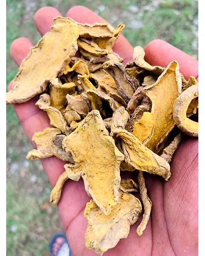 Turmeric Powder – High Curcumin | Starting at just $15/kg for bulk orders of 200-300kg! | All-Inclusive: Price includes delivery, import duties, and paperwork – no hidden fees-2