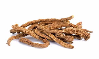 Angelica Root Supplier & Wholesaler from India