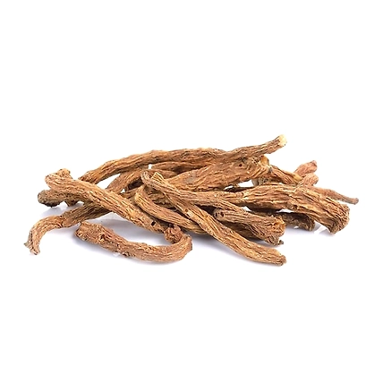 Angelica Root Supplier &amp; Wholesaler from India-ar1