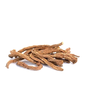 Angelica Root Supplier & Wholesaler from India