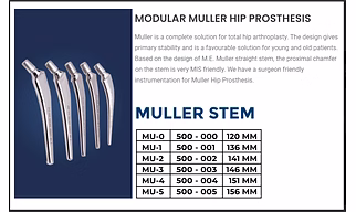 MODULAR MULLER HIP PROSTHESIS