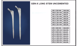 GEN -X LONG STEM UNCEMENTED