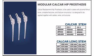 MODULAR CALCAR HIP PROSTHESIS