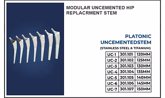 MODULAR UNCEMENTED HIP REPLACEMENT