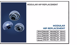 MODULAR HIP REPLACEMENT