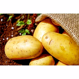 fresh potato's