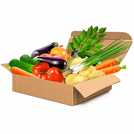 customizable cartons for safe transportation of fruits and vegetables