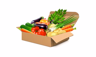 Customizable Cartons for Safe Transportation of Fruits and Vegetables