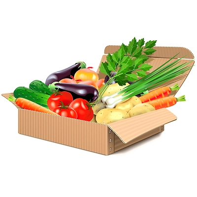 Customizable Cartons for Safe Transportation of Fruits and Vegetables-12618556