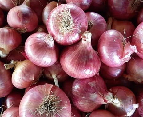 Hot selling Fresh Red Onion-3