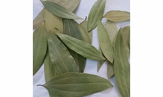 Bay Leaf