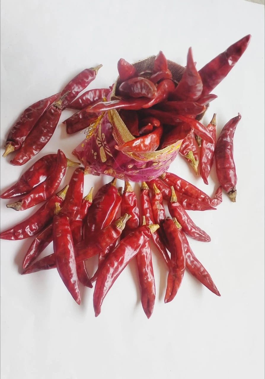 Dried Red Clillies Whole-7