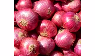 Fresh Onion - Export quality fresh Onion
