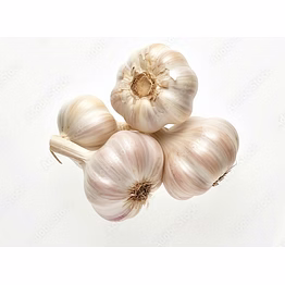 fresh garlic- export quality fresh garlic