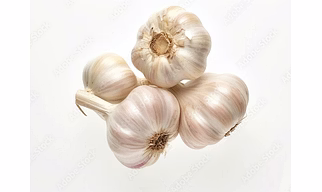 Fresh  Garlic- Export quality fresh  Garlic