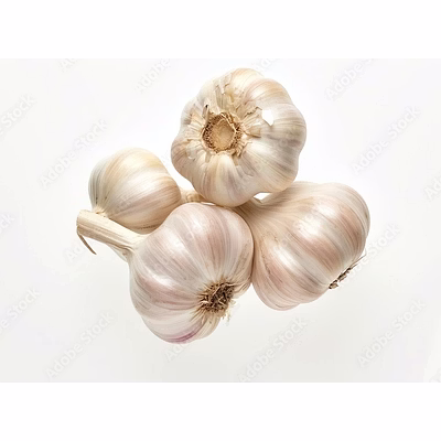 fresh garlic- export quality fresh garlic