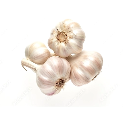 Fresh  Garlic- Export quality fresh  Garlic-12618474
