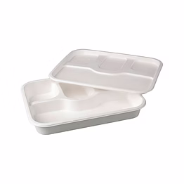 disposable meal trays