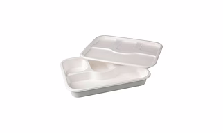 Disposable Meal Trays