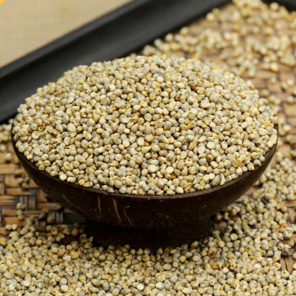 Pearl Millets (Bajra)-1