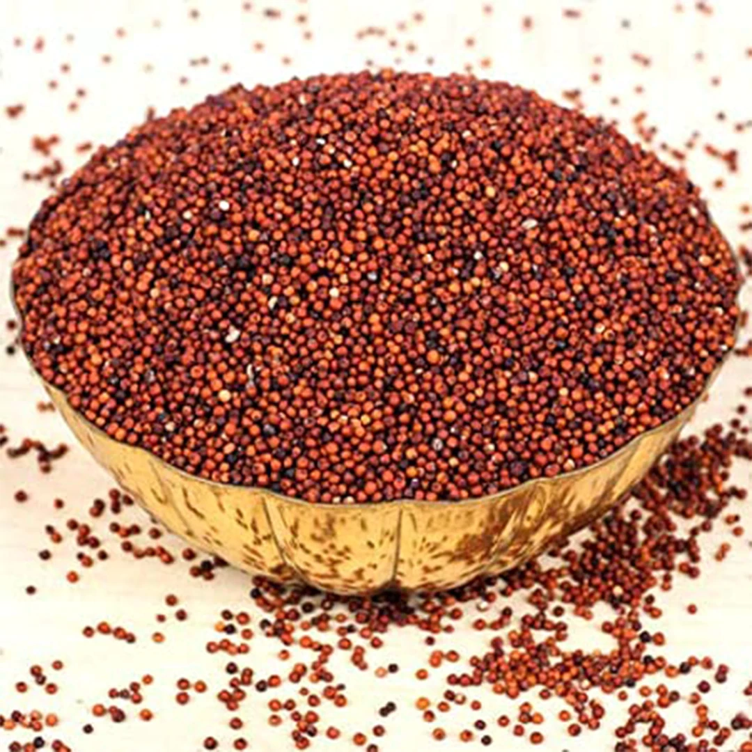 Finger Millet - Ragi-2