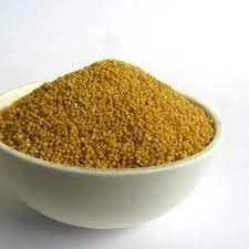 Foxtail Millet - Kanguni-2