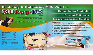 MILKUP DS
