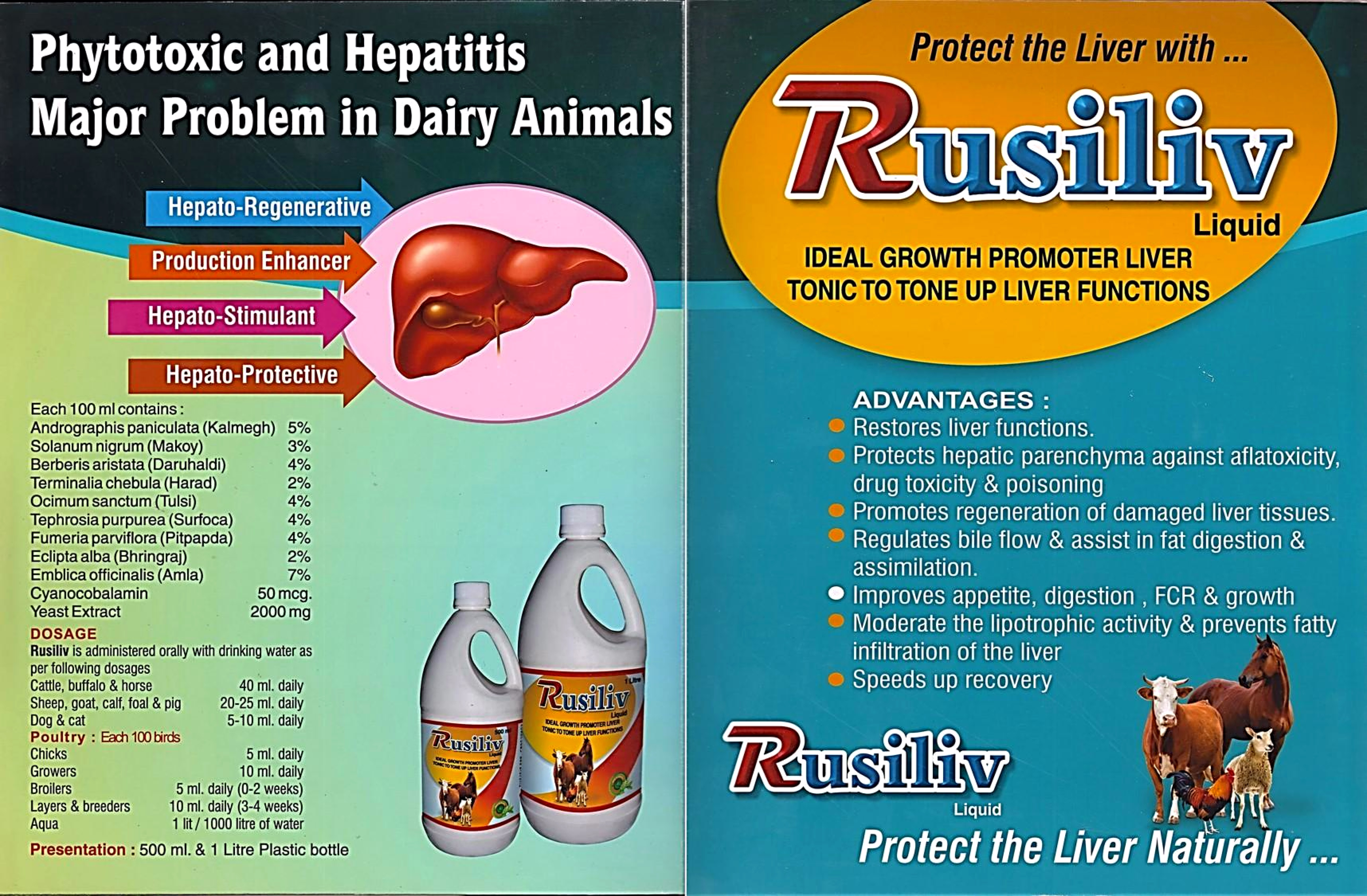 RUSILIVE