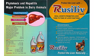 RUSILIVE