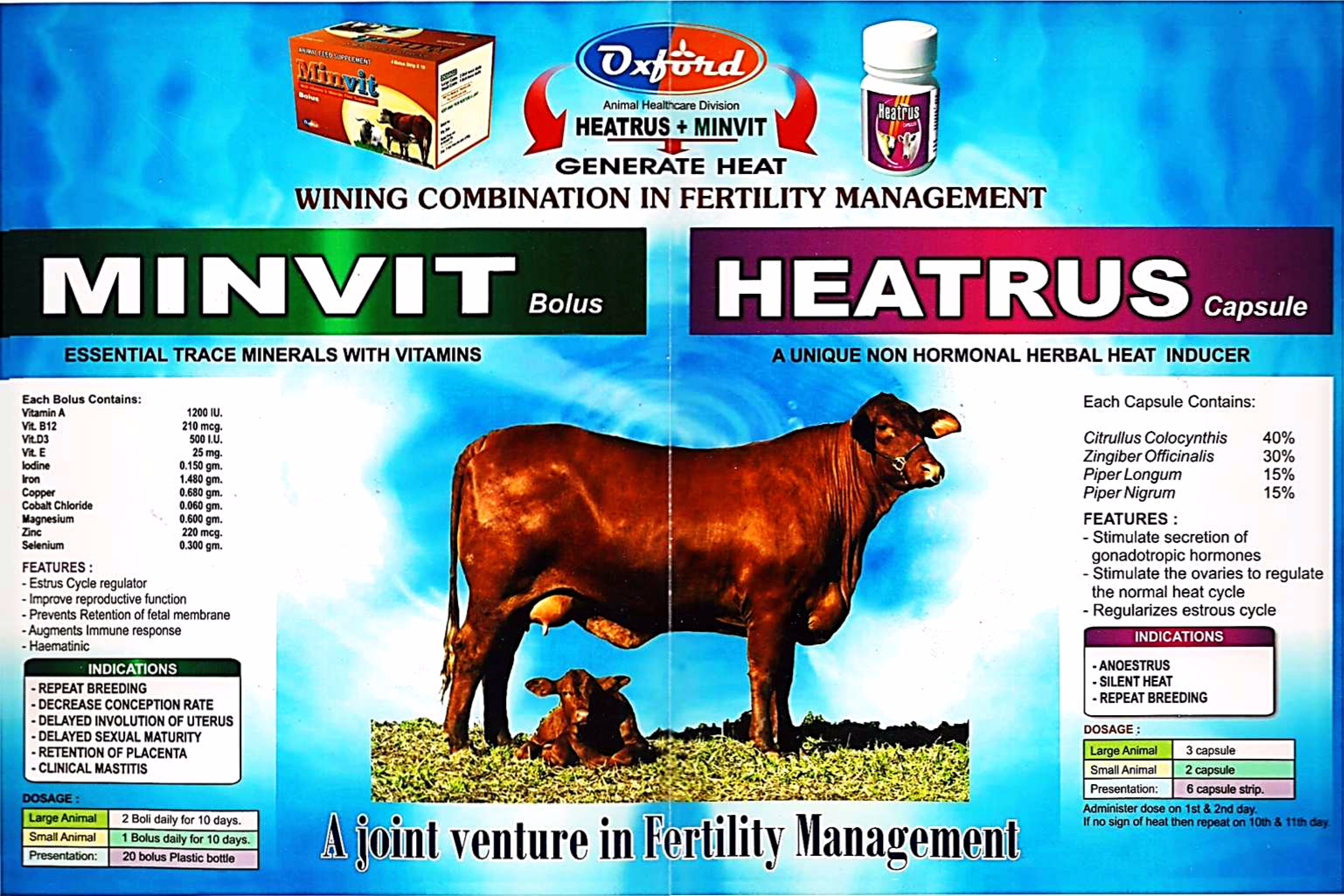 MINVIT BOLUS