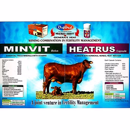 minvit bolus