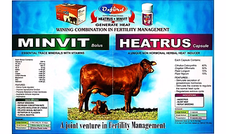 MINVIT BOLUS