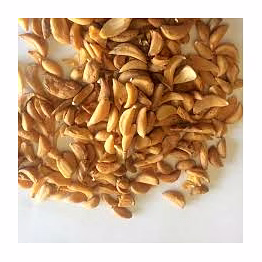 ahilya garlic dried
