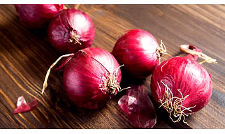 Onion