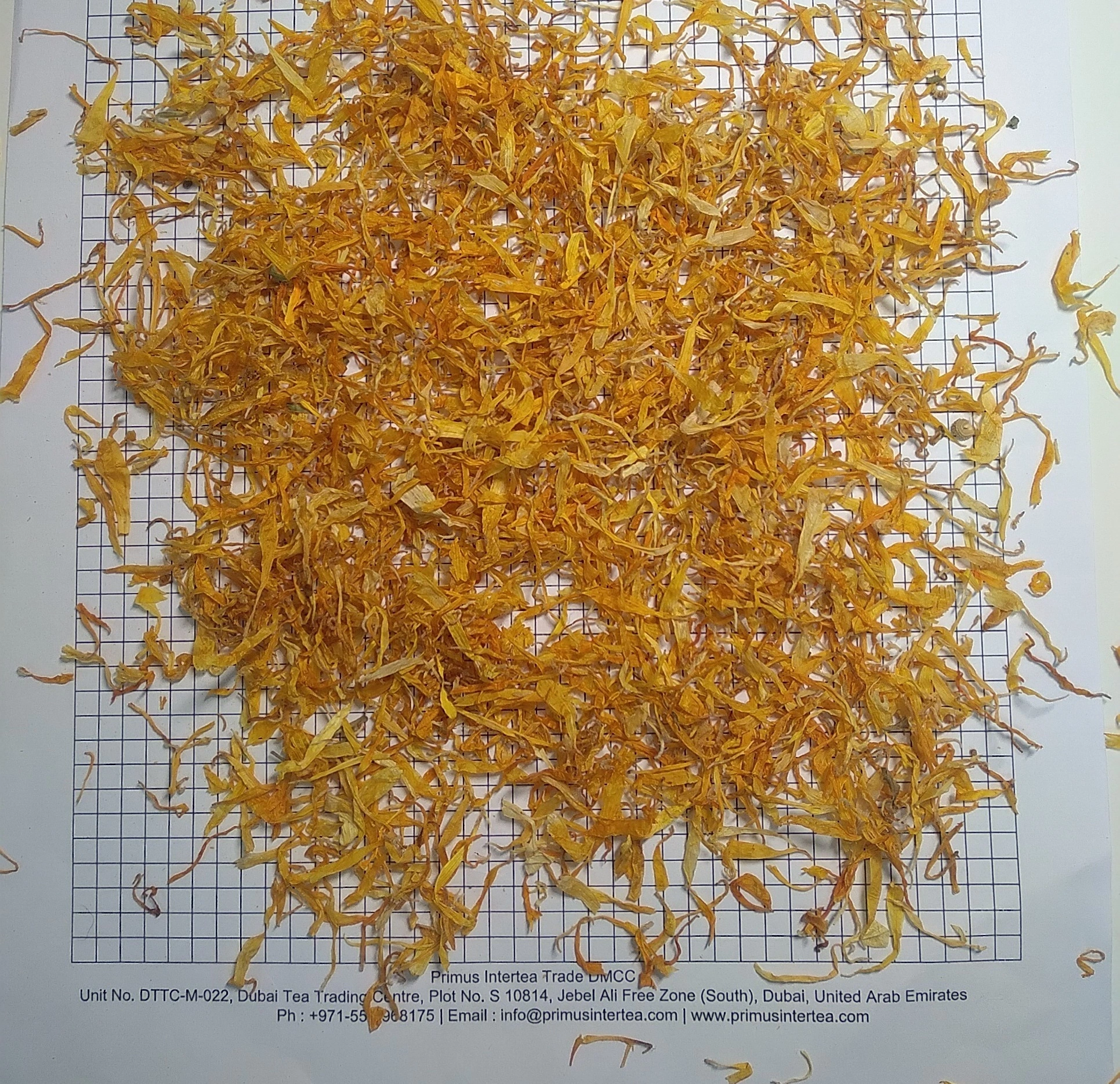 Egyptian Calendula Petals-1