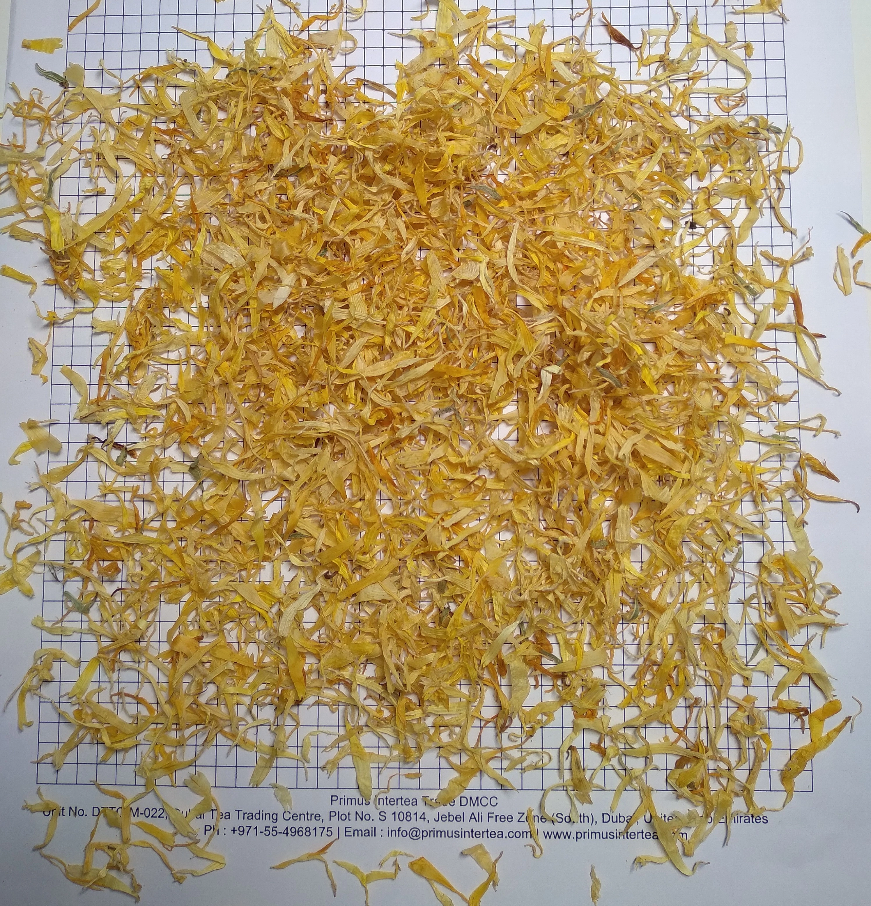 Egyptian Calendula Petals-2